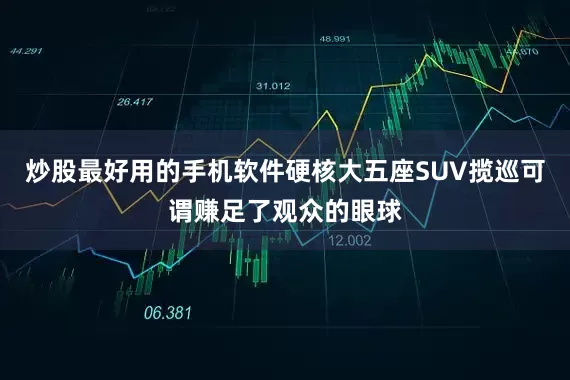 炒股最好用的手机软件硬核大五座SUV揽巡可谓赚足了观众的眼球