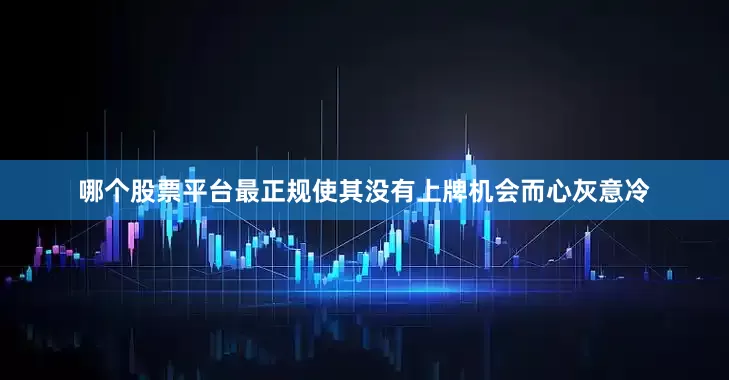 哪个股票平台最正规使其没有上牌机会而心灰意冷