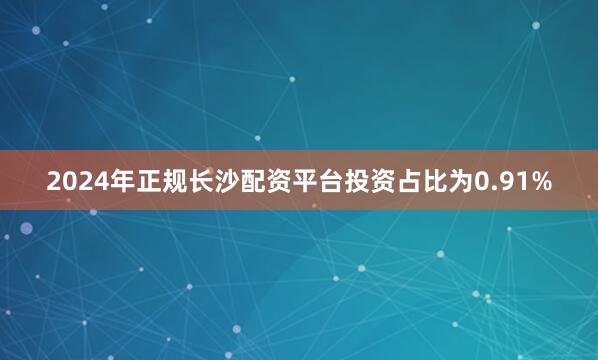 2024年正规长沙配资平台投资占比为0.91%